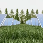 Beneficios y consideraciones al alquilar terrenos para placas solares: ¡Una inversión rentable y sostenible!