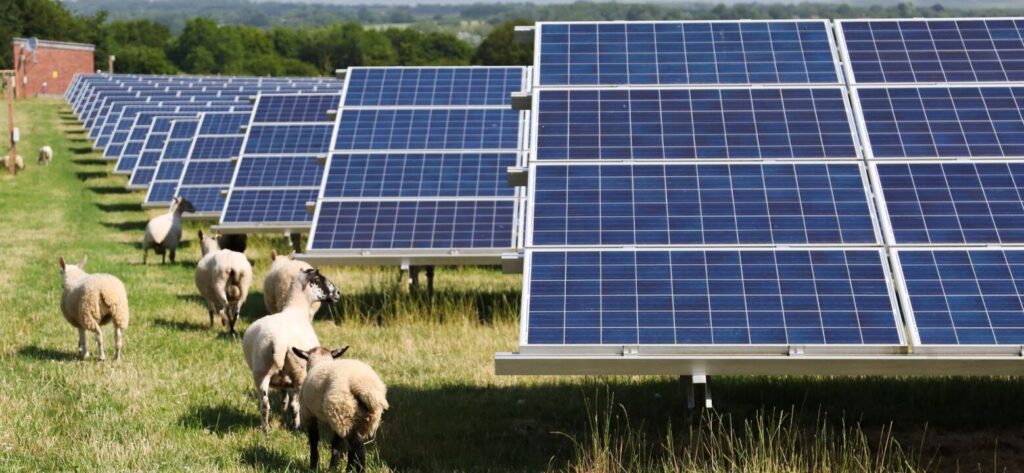 Empresas de alquiler de terrenos para la instalación de placas solares: una oportunidad sostenible y rentable