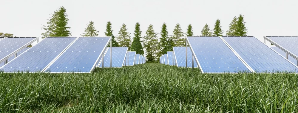 ¿Por qué alquilar terreno para instalar placas solares es una opción rentable y sostenible?