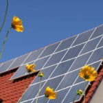 Todo lo que necesitas saber sobre las eficientes y sostenibles placas solares