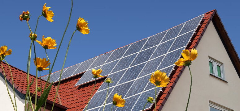 Todo lo que necesitas saber sobre las eficientes y sostenibles placas solares