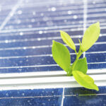 El reciclaje de placas solares: cuidando el medio ambiente y aprovechando recursos renovables