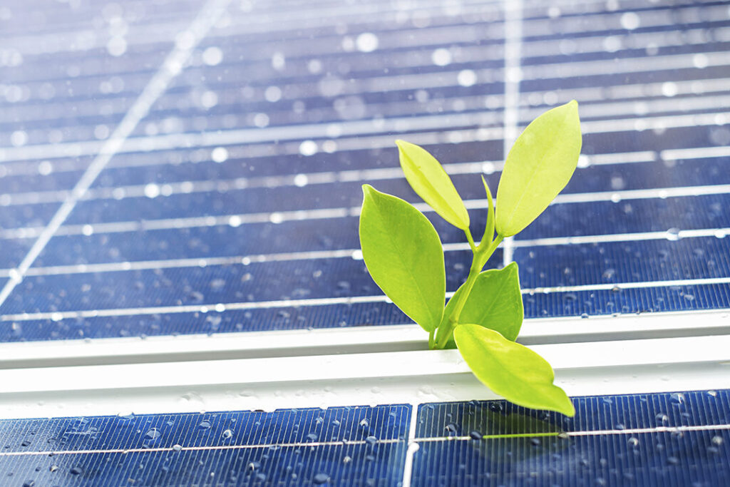 El reciclaje de placas solares: una solución sostenible para el futuro energético