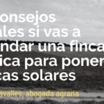 Alquilar terrenos para placas solares: cómo hacerlo rentable