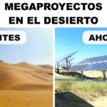 China y la producción de paneles solares: tendencias y cifras